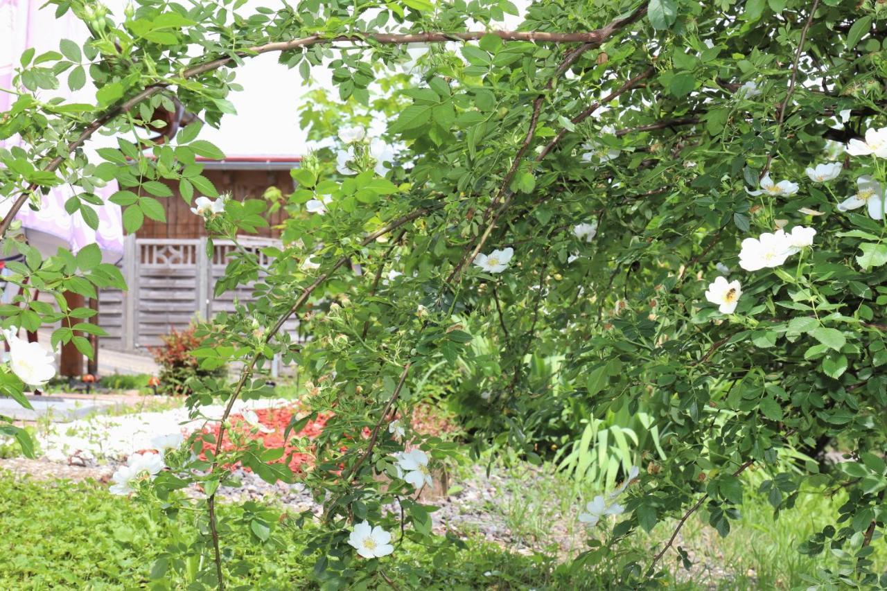 Gaestehaus Willaringen Rickenbach  Exterior foto